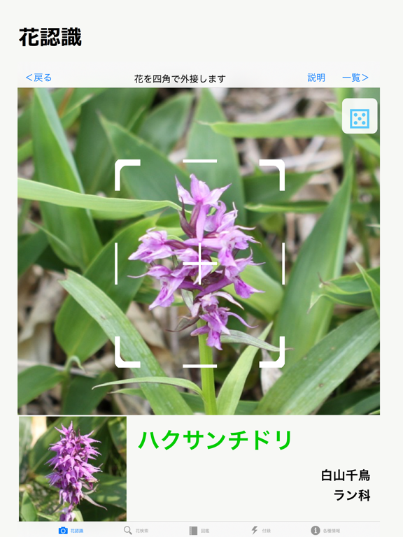 Screenshot #4 pour 花しらべ 花認識/花検索