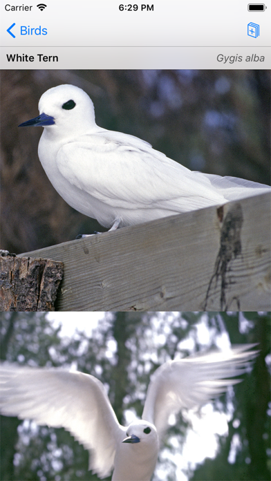 Palmyra Atoll Nature Guideのおすすめ画像3