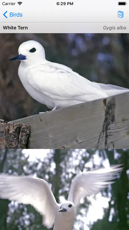 Palmyra Atoll Nature Guide screenshot 3 of 7