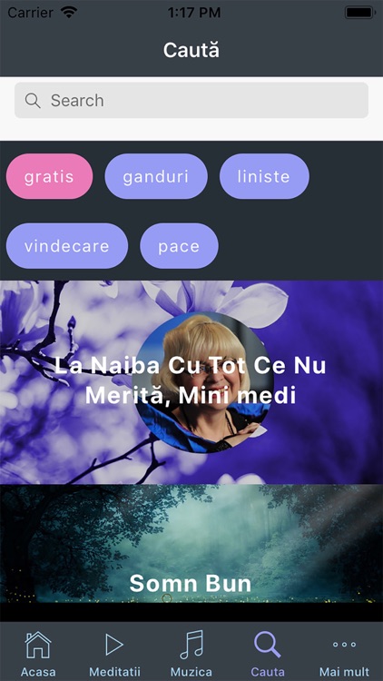 Casa Meditatiilor screenshot-4