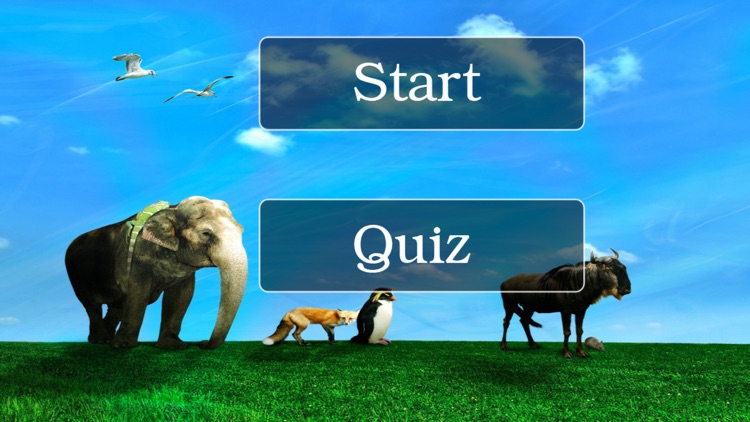 Animal Sound And Name