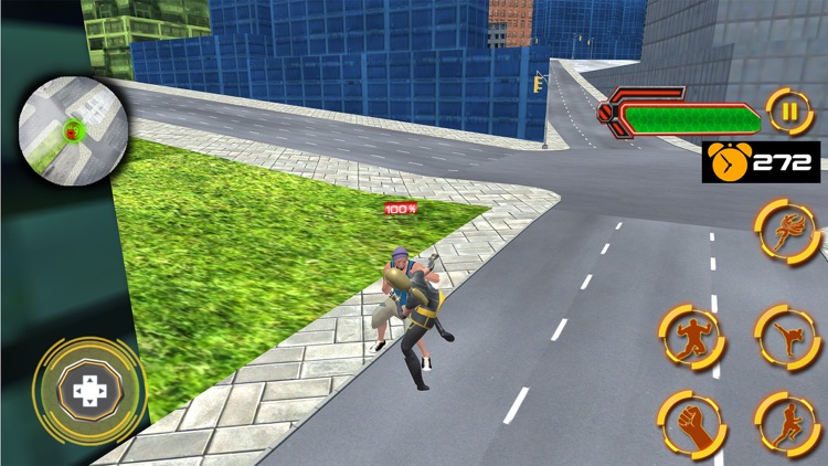 Flying Panther Superhero