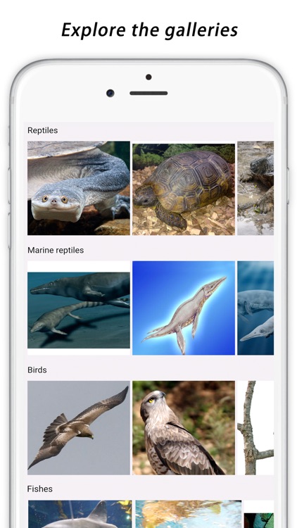 Natural History Museum Full screenshot-4