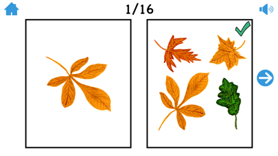 Teach Me Plurals iPhone screenshot 6 - Education app