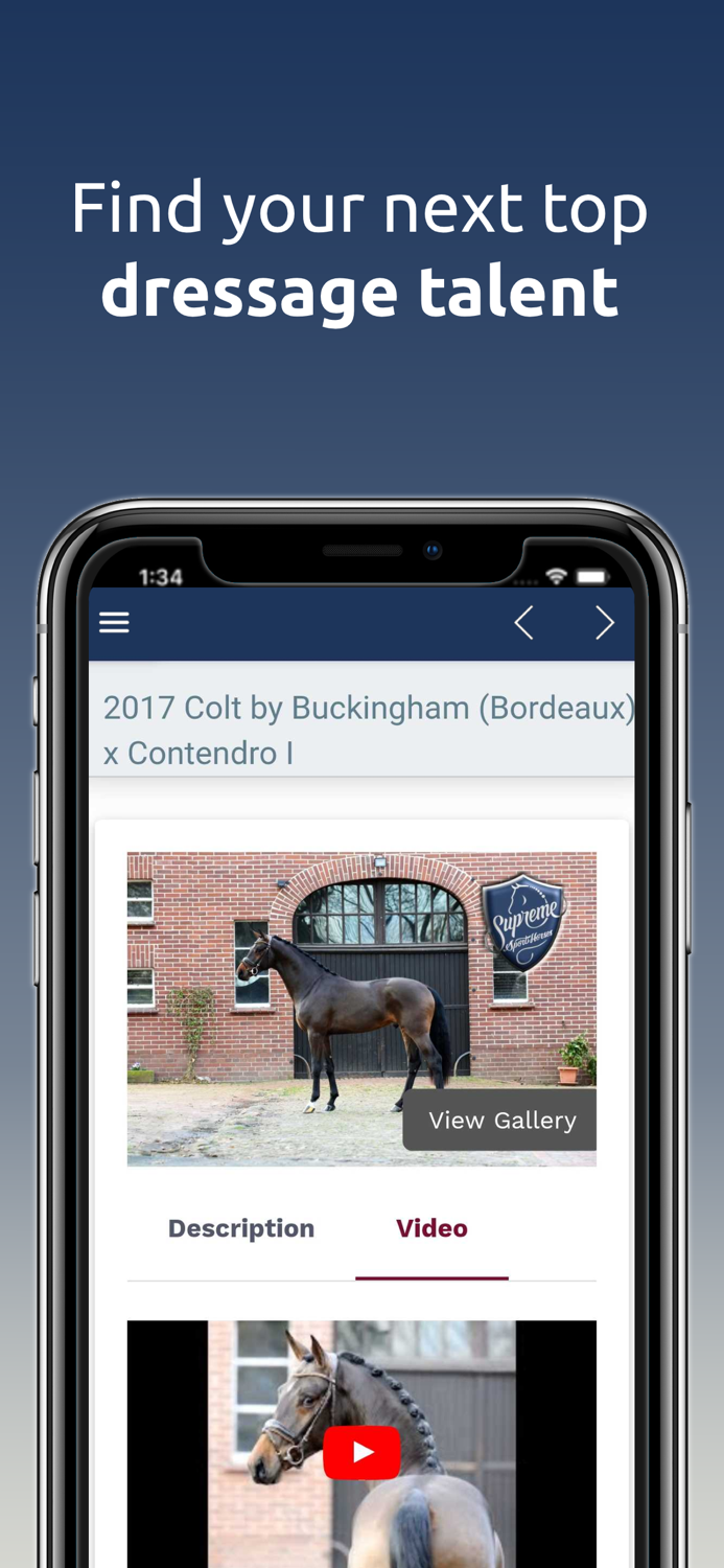 Supreme Sport Horses