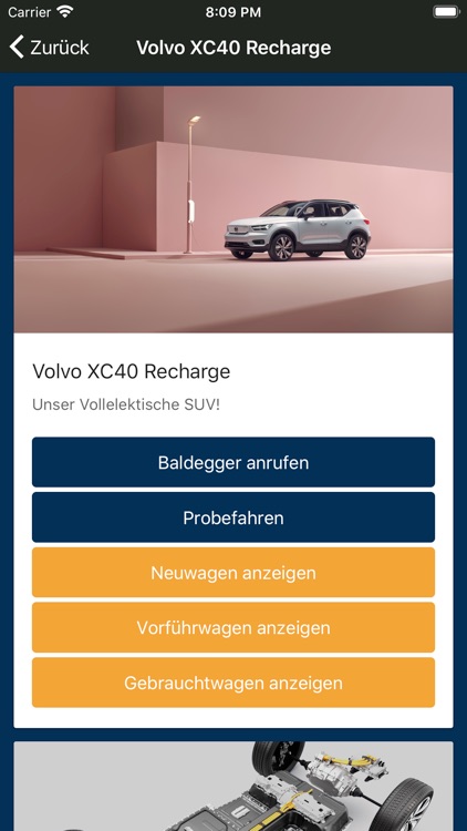 Baldegger Automobile AG screenshot-3