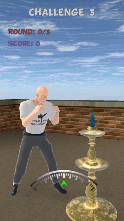 Bottle Cap Challenge! screenshot-3