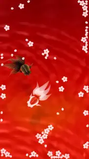 wa kingyo le - goldfish pond iphone screenshot 1