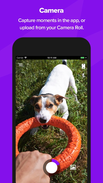 Bolt: Video Stickers & Effects screenshot-5