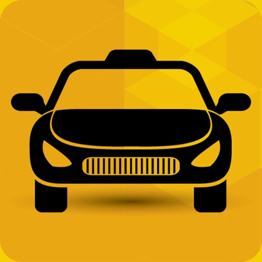 Digital Car Service icon