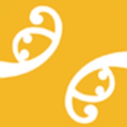 Auckland Virtual Tours