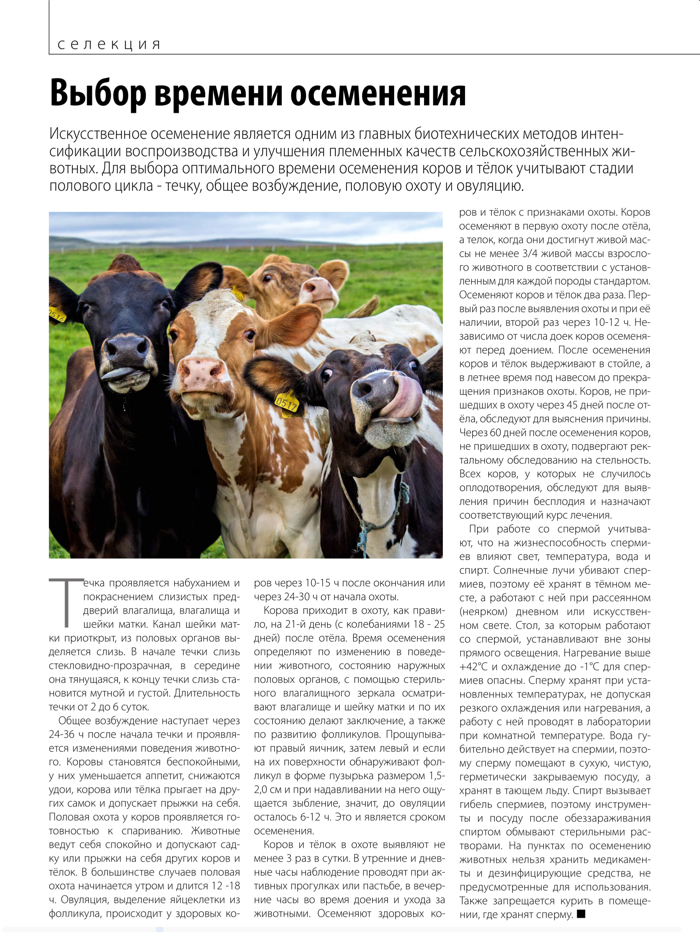 АПК Эксперт Животноводство.