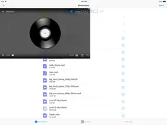 APlayer - Alook Player iPad image 3
