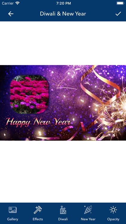 Diwali & New Year Pip Frames screenshot-4