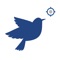 TweetSquare shows you the tweets around you which are published on Twitter