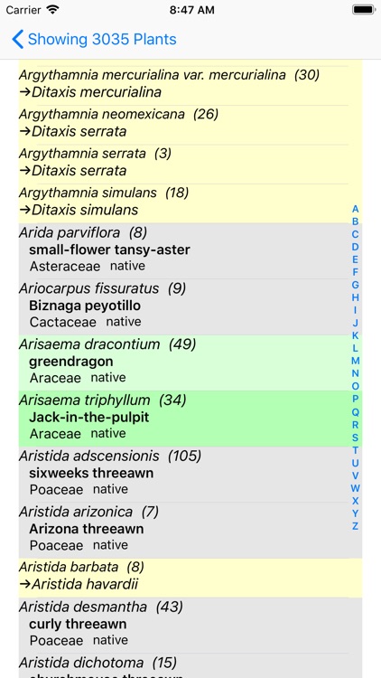 East Texas Wildflowers screenshot-7