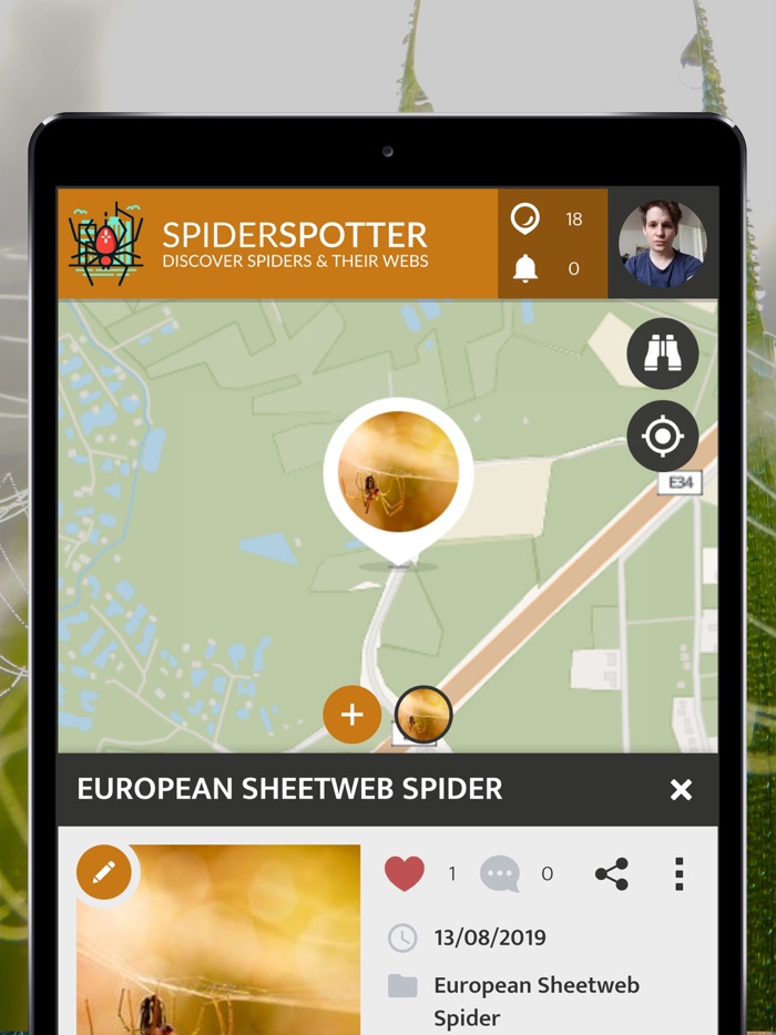 SpiderSpotter  SPOTTERON