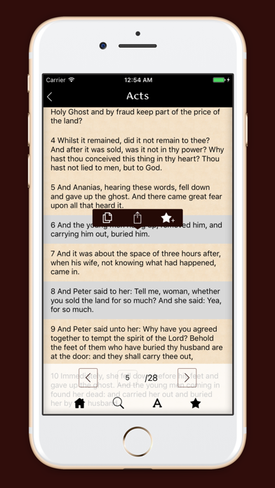 Screenshot #3 pour Douay - Rhiems Catholic Bible