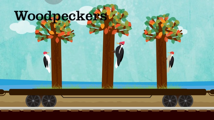 Peek-a-Zoo Train: Toddler Fun screenshot-5