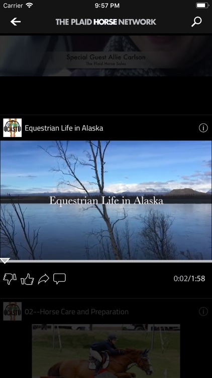 The Plaid Horse Network