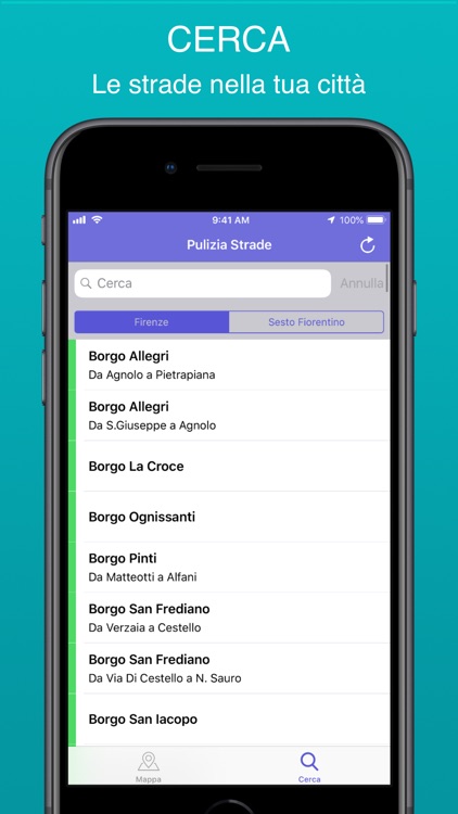 Pulizia Strade Firenze screenshot-4