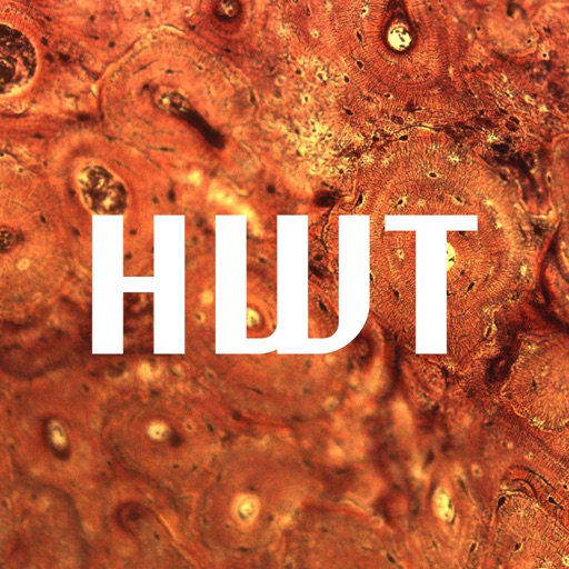 Histology Worldwide Test 3.0