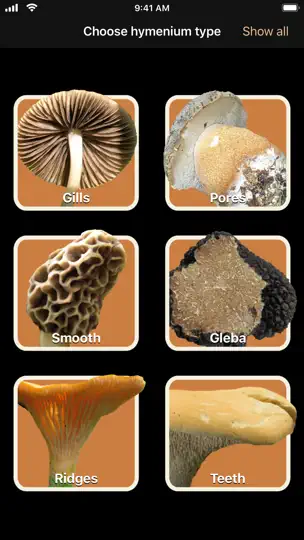 Captura de pantalla de Fungi en iPhone 1