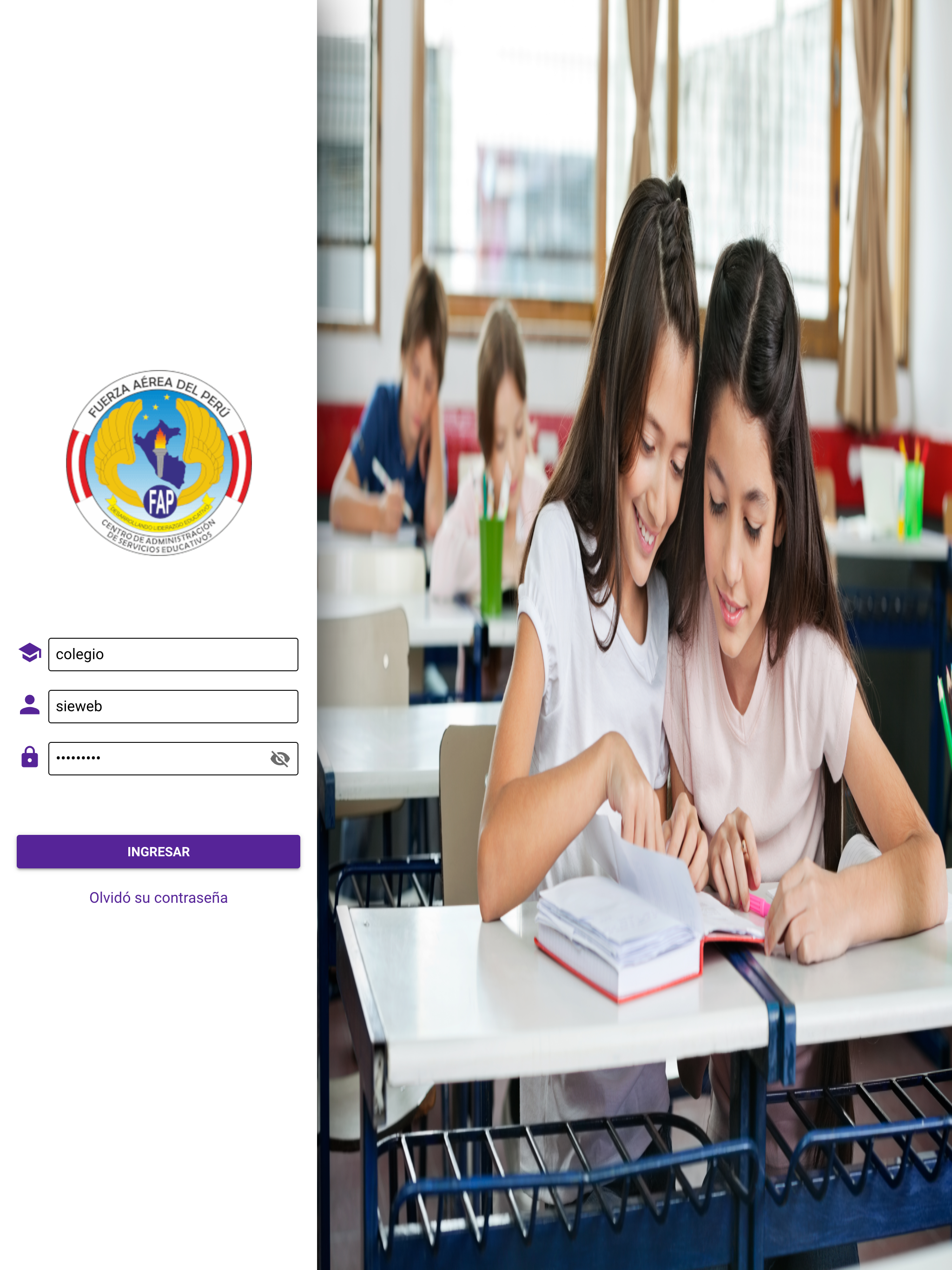 Sistema Educativo FAP