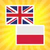 Polish Translator & Dictionary App Feedback