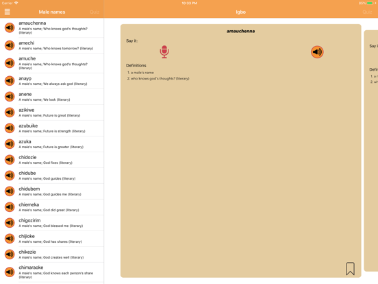 iSabi™ Igbo+ iPad screenshot 8 - Education app