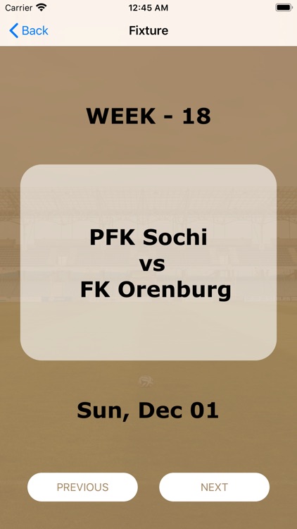 Mini Russian League screenshot-4