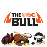 960 The Bull