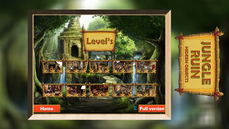 Jungle Ruin : Its Hidden Time