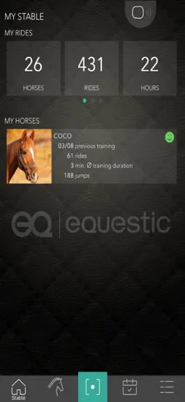 Game screenshot Equestic SaddleClip hack