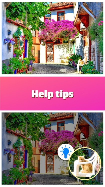 Find The Differences - Photo