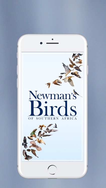 Newman’s Birds of Africa screenshot-0