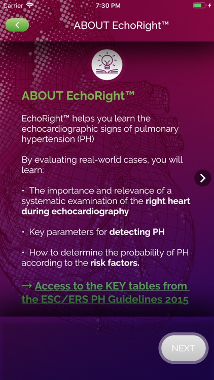 EchoRight