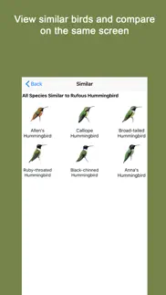 sibley guide to hummingbirds problems & solutions and troubleshooting guide - 4
