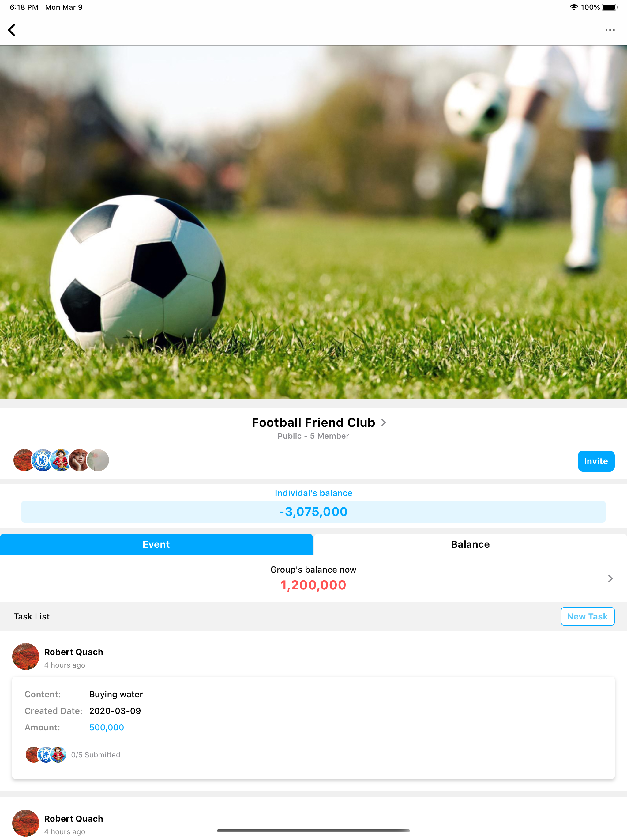 Sport Team Expenditure Control screenshot 13