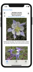 Colorado Rocky Mtn Wildflowers screenshot #6 for iPhone