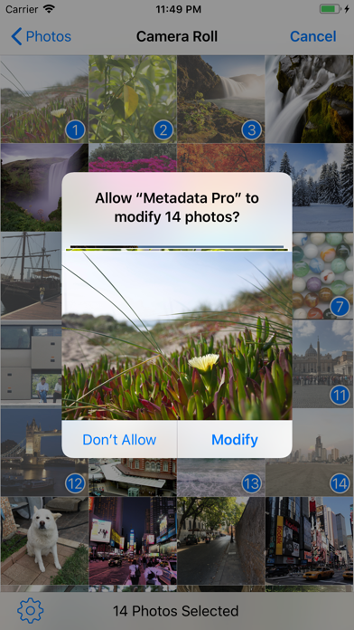 Metadata Pro Screenshot