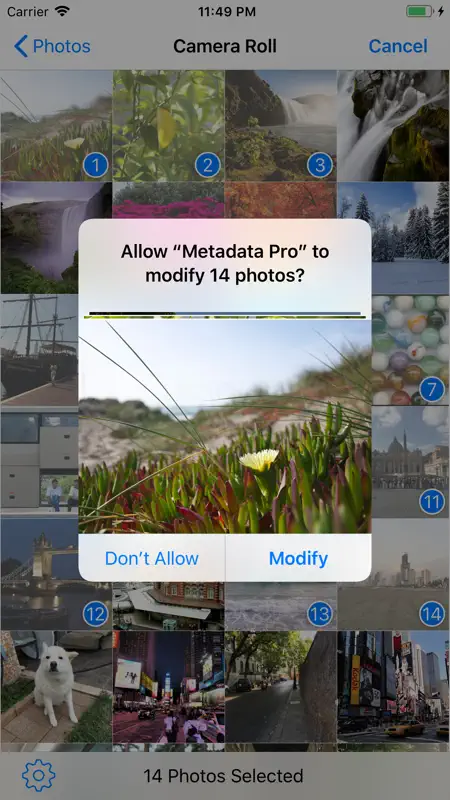 Metadata Pro on iPhone — screenshot 7 of 7