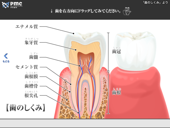 Screenshot #6 pour JSDA SWEDENTIST