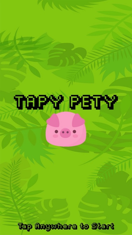 TAPY PETY