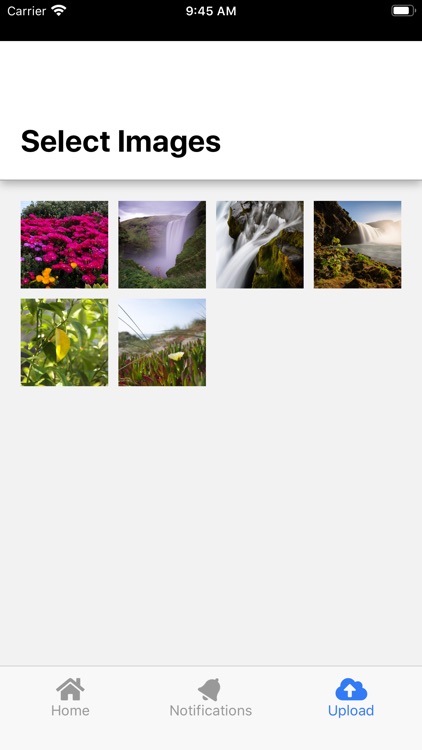 Gingr Notifications screenshot-3