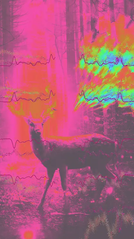 Tunr - Music Player Visualizer