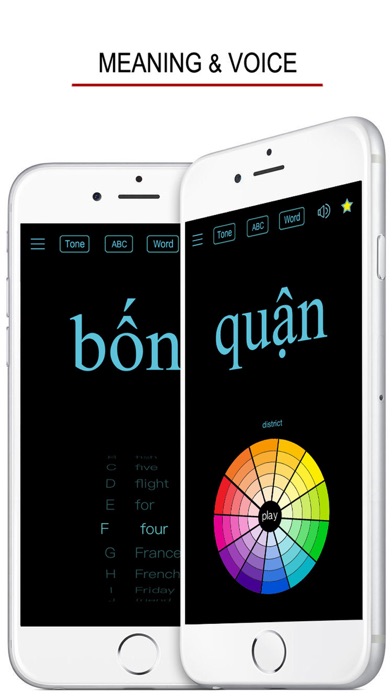 Vietnamese Alphabet & Words screenshot 4