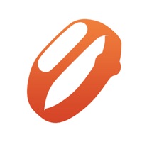 Mi Fit - Mi Band App pour PC