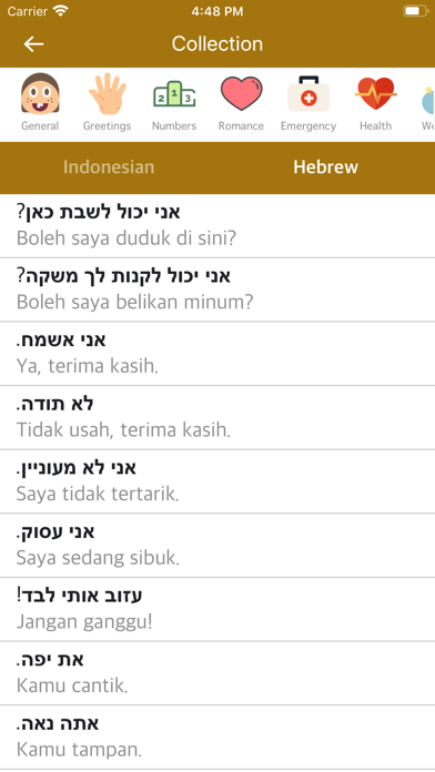 Screenshot #2 pour Indonesian Hebrew Dictionary