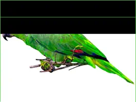 Game screenshot TouchMe PuzzleKlick Pro hack